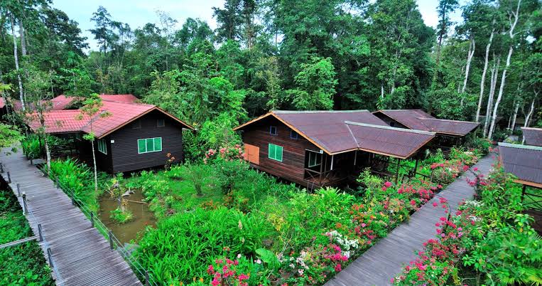 3D2N Sepilok & Kinabatangan — Abai + KRL Sukau — Abai → Sukau