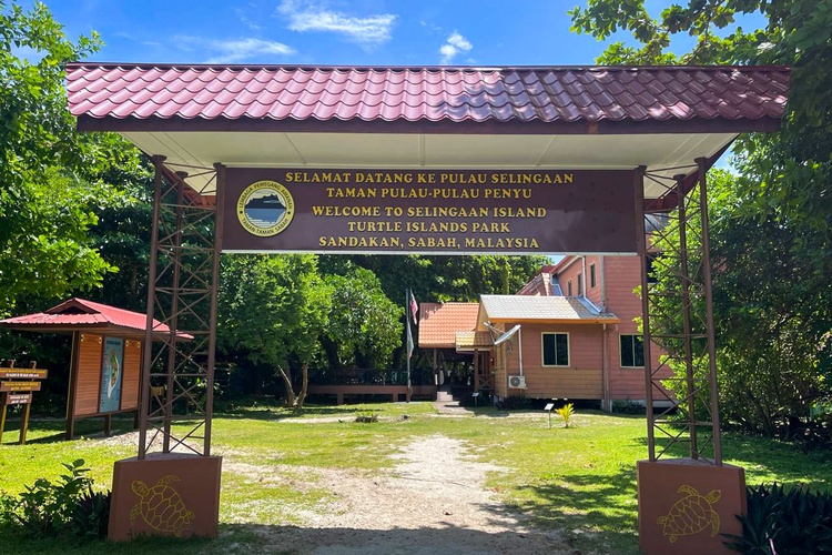 4D3N Selingan / Sepilok / Kinabatangan (Bilit) — Selingan → Sepilok → Bilit