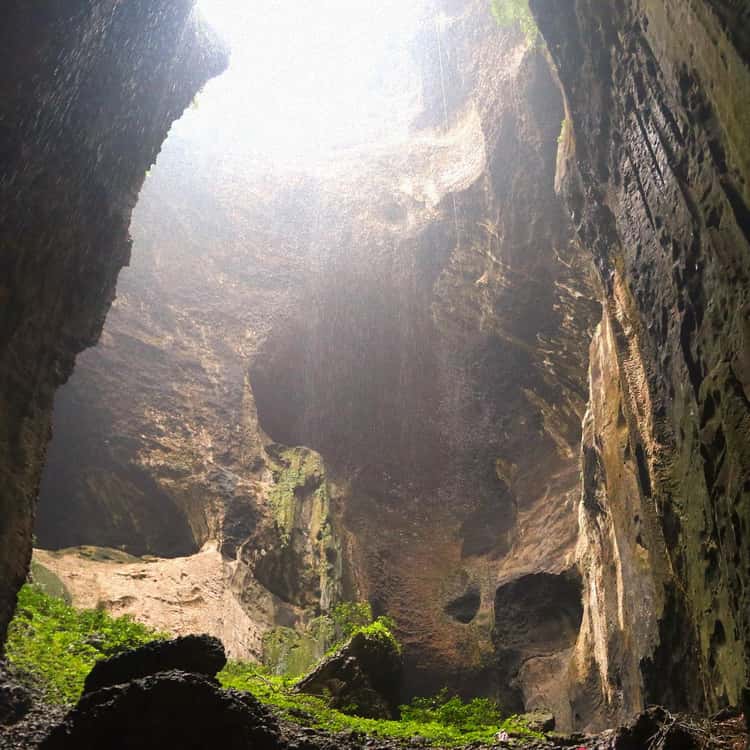 Gomantong Caves & Kinabatangan River Cruise — Gomantong → Bilit