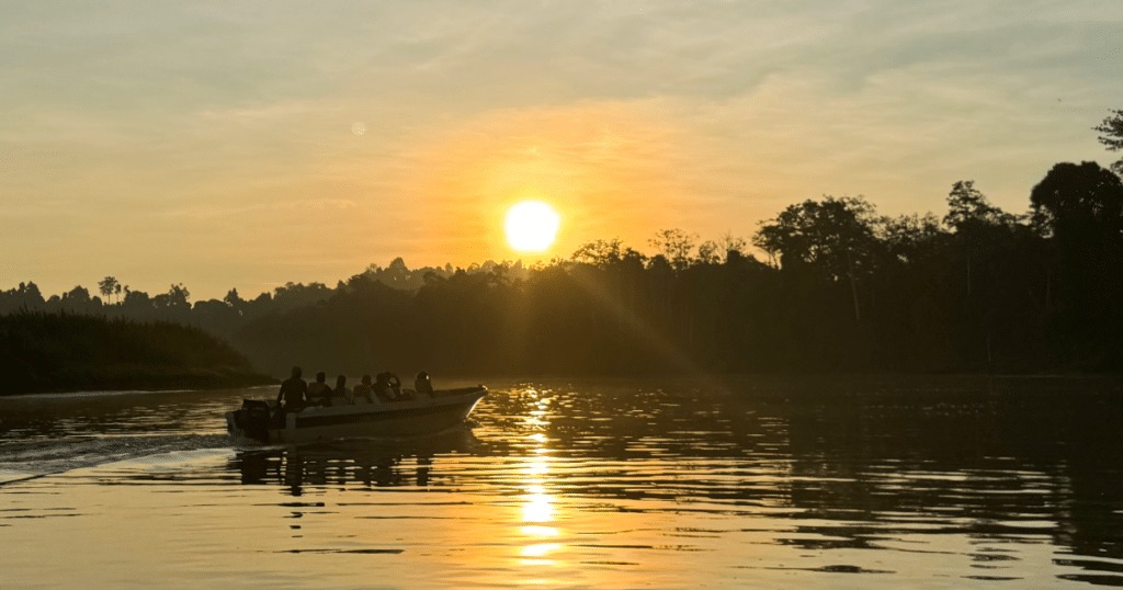 Wildlife cruise boat on the Kinabatangan River at sunset
