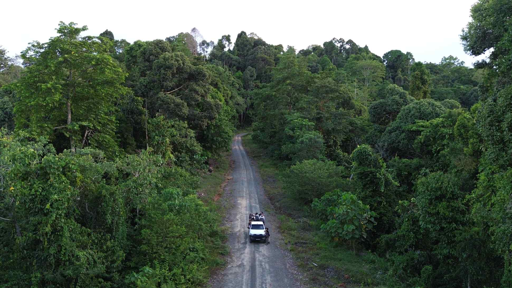 The Kinabatangan River winding through its forested floodplain